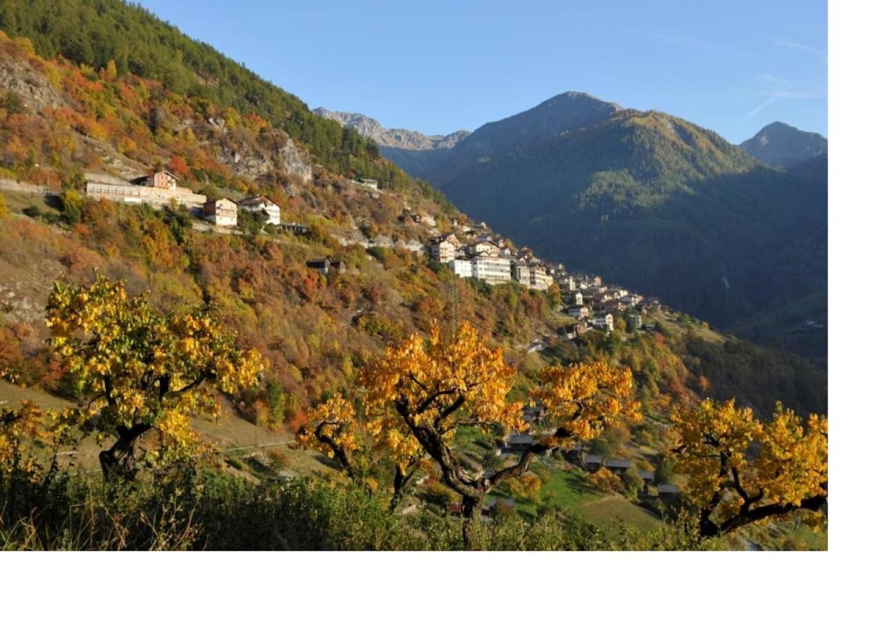 Le Cocon Du Catogne Proche Martigny Verbier - Netflix - Valettes Екстериор снимка