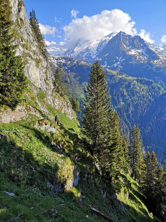 Le Cocon Du Catogne Proche Martigny Verbier - Netflix - Valettes Екстериор снимка