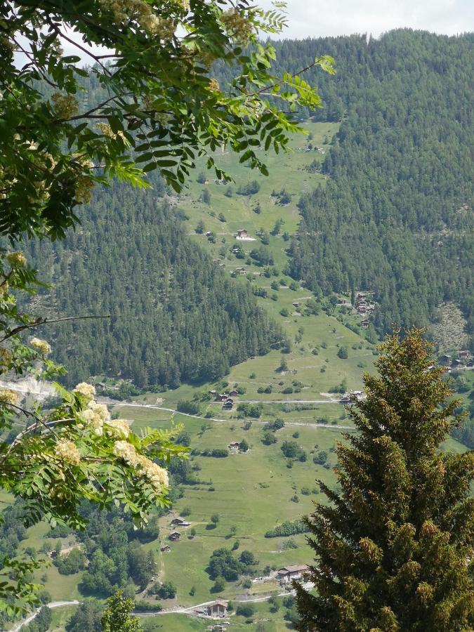 Le Cocon Du Catogne Proche Martigny Verbier - Netflix - Valettes Екстериор снимка
